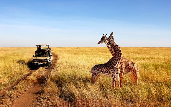 L'itinerario del safari 