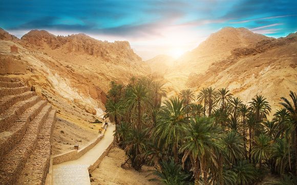 Tunisia tra deserto, oasi, palmeti e laghi salati