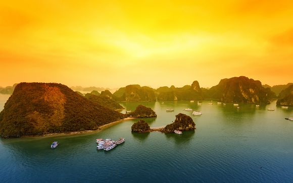 Estensione in Vietnam