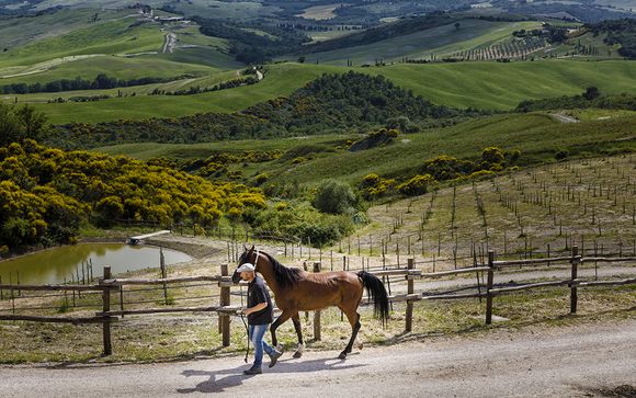Il Tuscany Equestrian