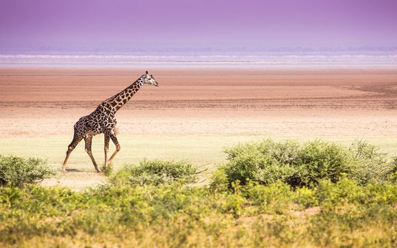 Alla scoperta della Tanzania
