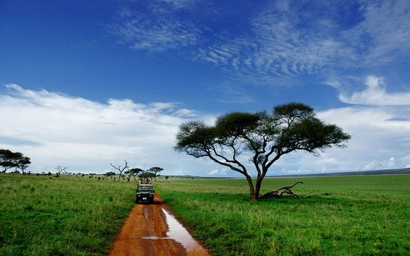 Safari del circuito 