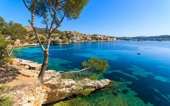 Alla scoperta di Maiorca