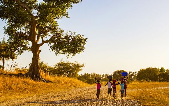 Tour del Senegal il paese dei Baobab