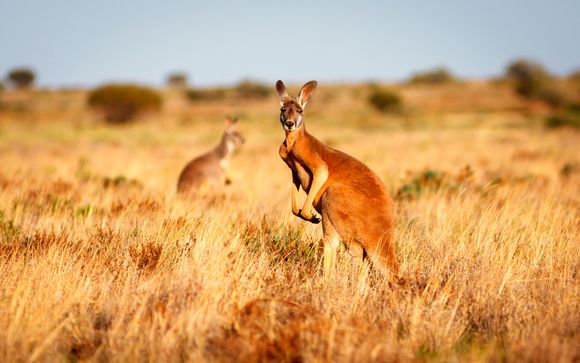 Tour alla scoperta dell'Australia da Sydney a Perth