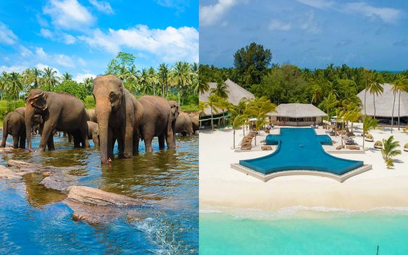 Mini Tour in Sri Lanka + Kihaa Maldives Resort & Spa 5*
