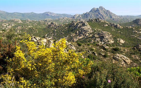 Aggiungi un'opzione al tuo viaggio