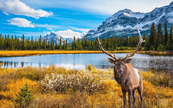 Estate e autunno in Canada con noleggio auto incluso