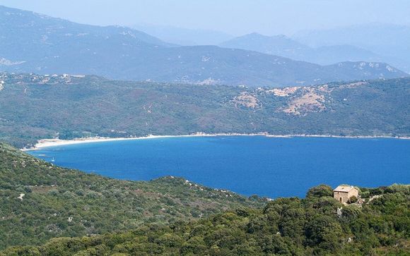 Aggiungi un'opzione al tuo viaggio