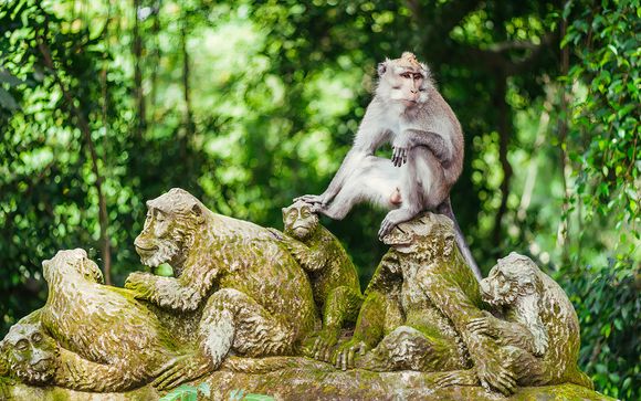 Welkom in... Singapore en Indonesië!