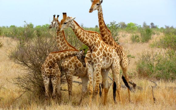 Verblijf van 5 nachten