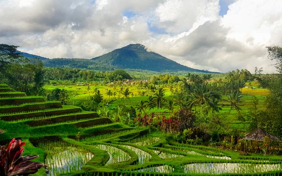 Welkom in ... Indonesië!