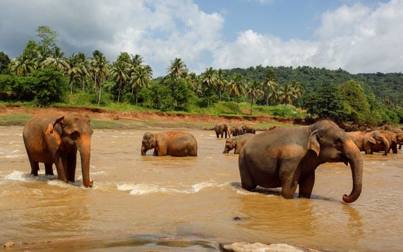 Kies voor een extra optie 