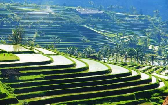 Welkom in... Singapore en... Indonesië! 