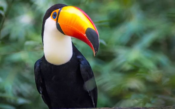 Welkom in... Argentinië (& Brazilië)!