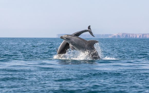 Inbegrepen excursies