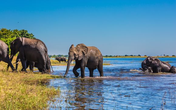 Uw optionele excursies