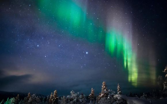 Uw inbegrepen opties