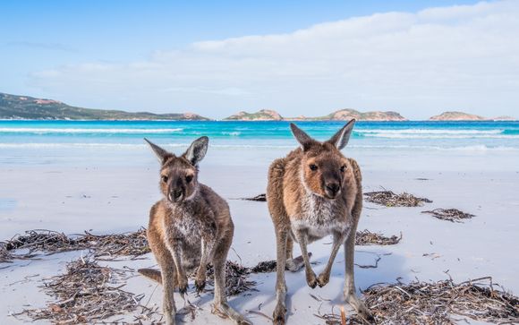 Uw optionele excursies