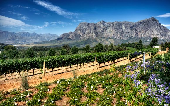 Kies voor extra opties