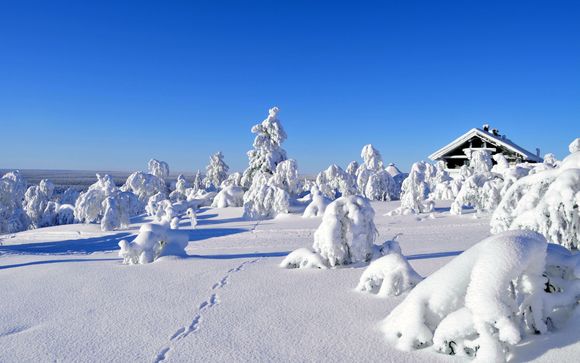 Inbegrepen excursies