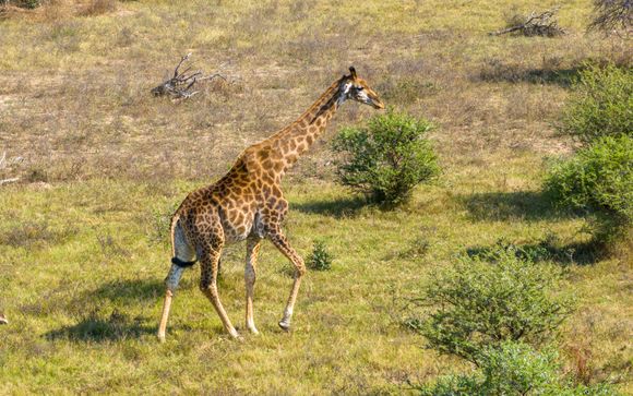 Verblijf van 6 nachten