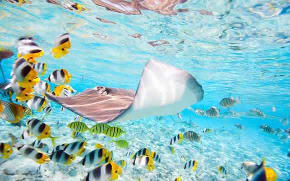 Reisbeschrijving cruise