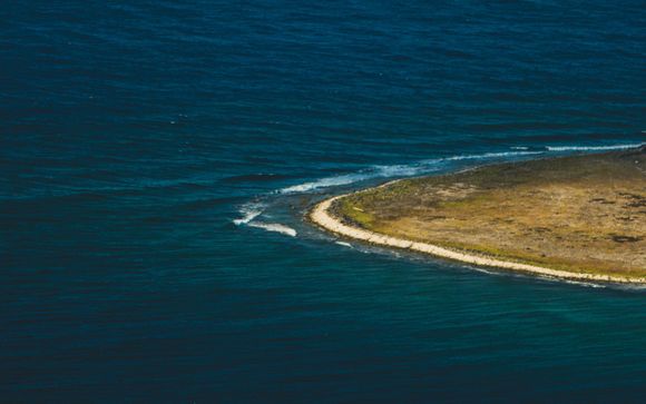 Inbegrepen excursies