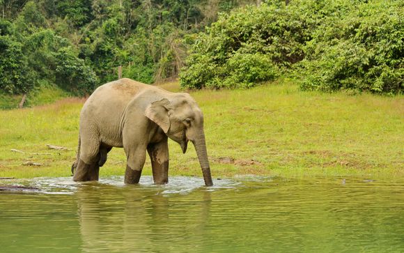 Kies voor een extra optie 