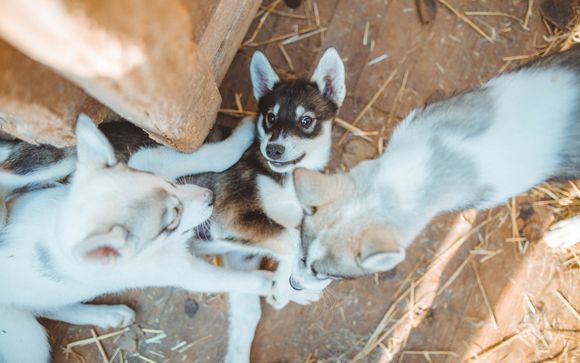 Kies voor een extra optie 