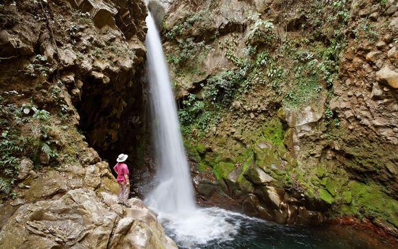 Kies voor extra opties