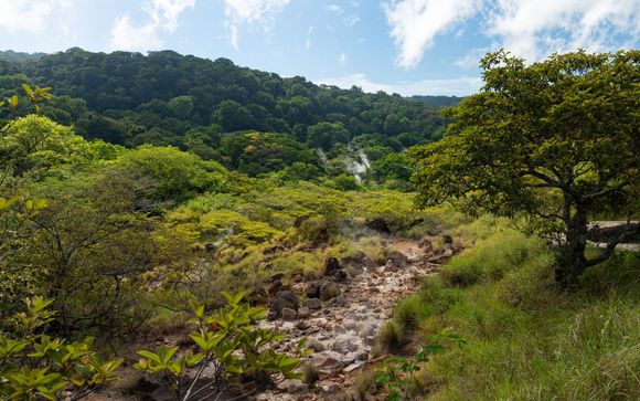 Kies voor extra opties