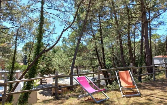 Camping Parfums d'été 4*