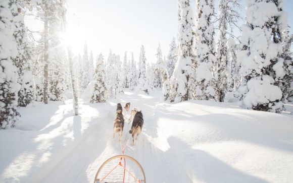 Excursiepakket ‘Lapland Gateway’ (verblijf tussen 29/12/25 en 31/03/26) 