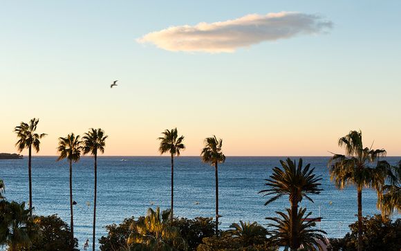 Welkom in... Cannes!