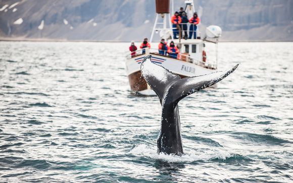 Reisbeschrijving IJsland