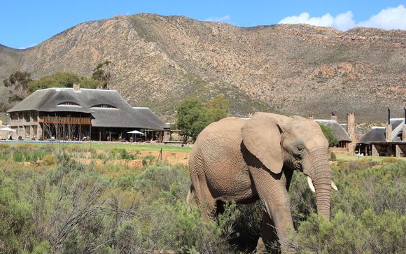 Welkom in... Zuid-Afrika