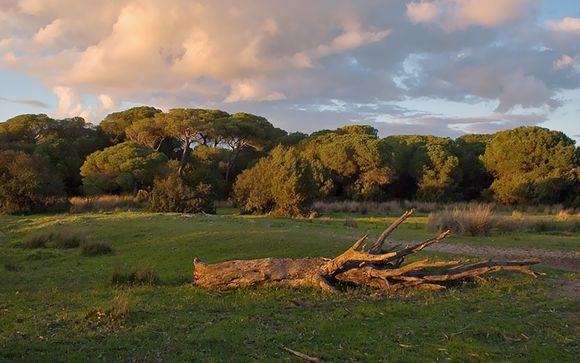 Welkom in... Huelva!