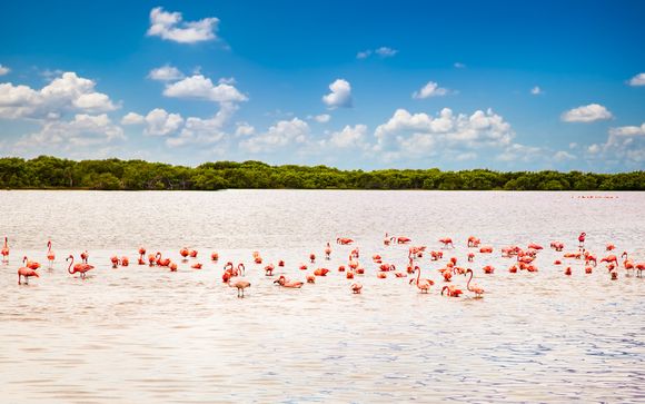 Welkom in... Mexico!