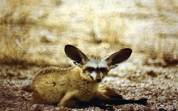 De rondreis in detail