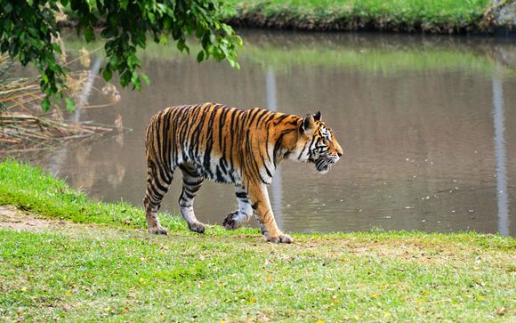 Uw inbegrepen excursie