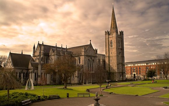 Uw programma in detail