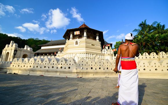 Uw programma voor 7 nachten