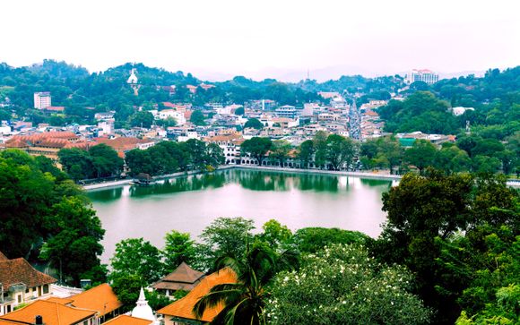 Uw programma van 12 nachten