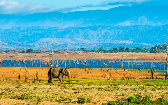 Uw reisprogramma in Sri Lanka