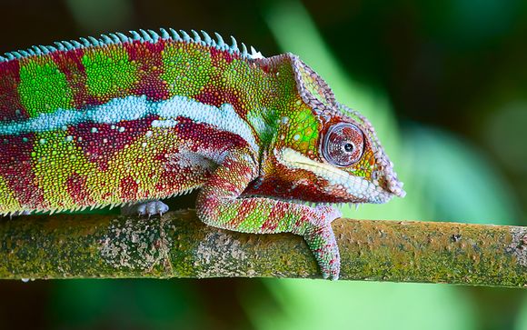 Uw programma voor 14 nachten