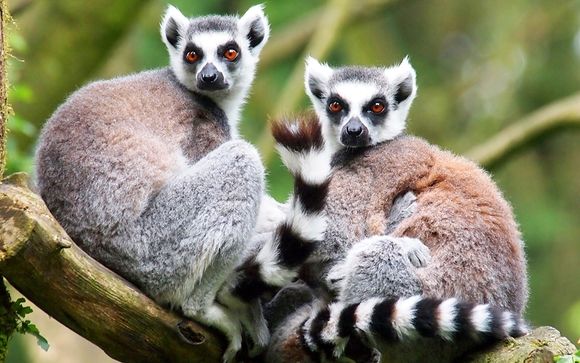 Uw programma voor 7 nachten