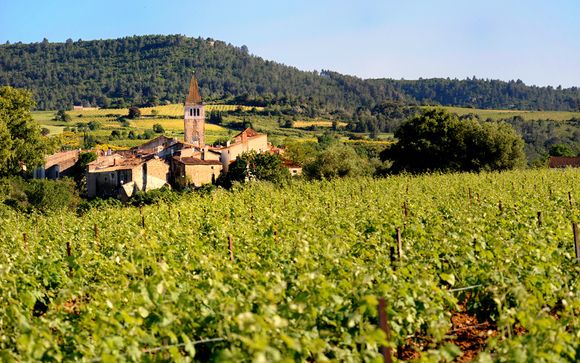 Welkom in... de Languedoc-Roussillon