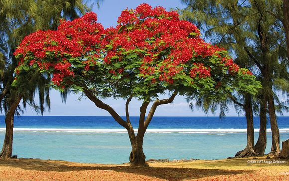 Welkom op... La Réunion