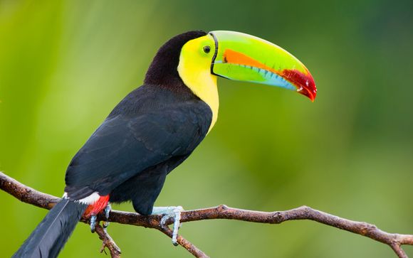 Uw programma van 11 nachten